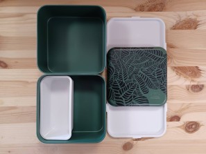 MB original - Jungle